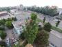 Toaletare si taiere arbori in Constanta si imprejurimi - imagine 74318